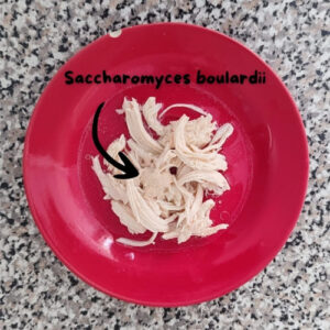 chicken-with-Saccharomyces-boulardii