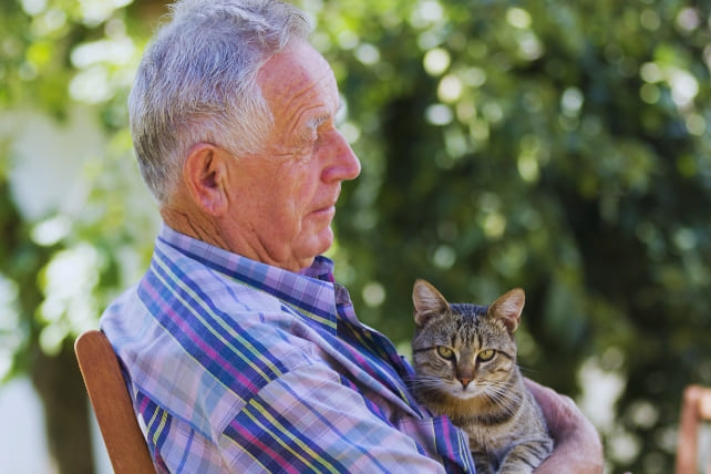 senior-cat-sitting-lap