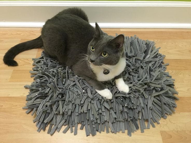 snuffle-mat-cats